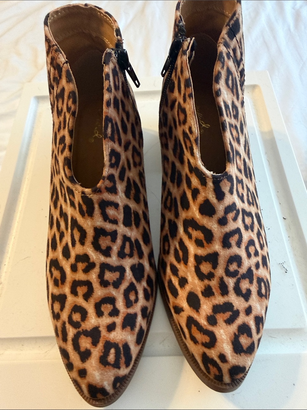 Cupid Leopard-Pattern Pointed Ankle Booties in Tan and Black